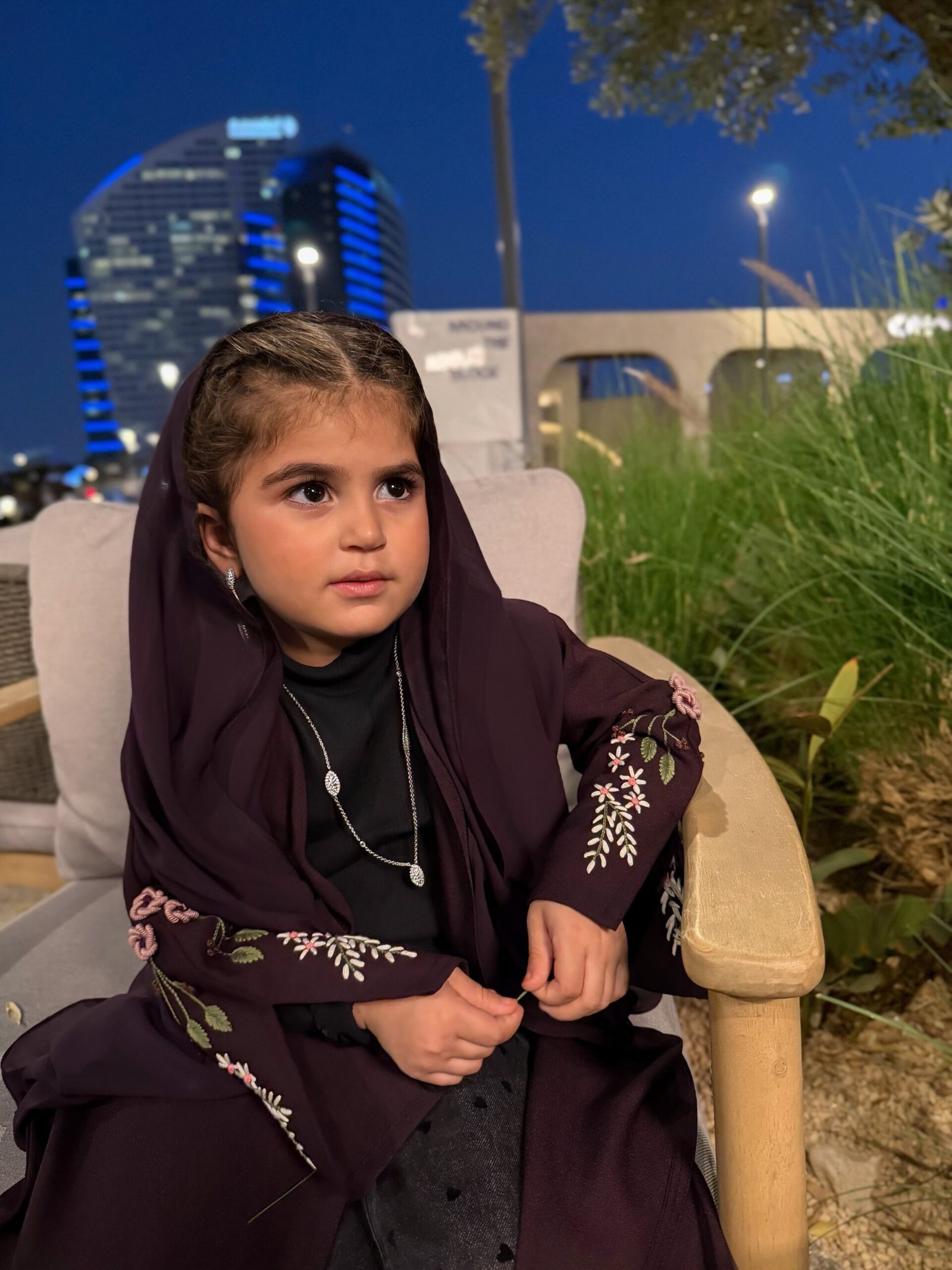 KA20 - الصورة 5